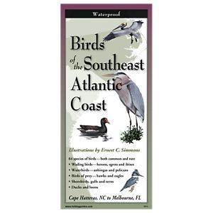 Birds Folding Guide
