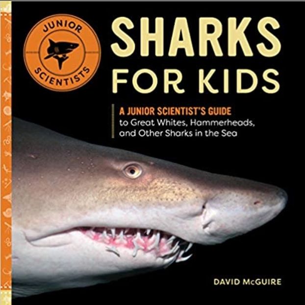 SHARKS FOR KIDS