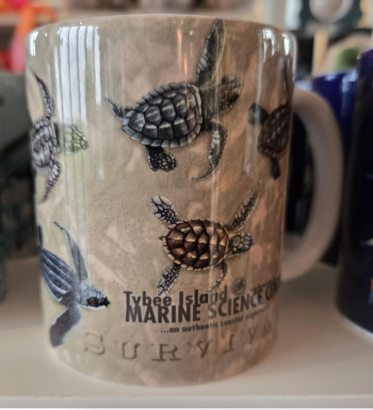 Race for Survival Mug/WC376M