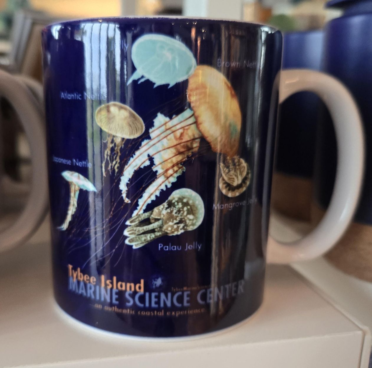 Jellyfish Glow Mug/WC766M/6