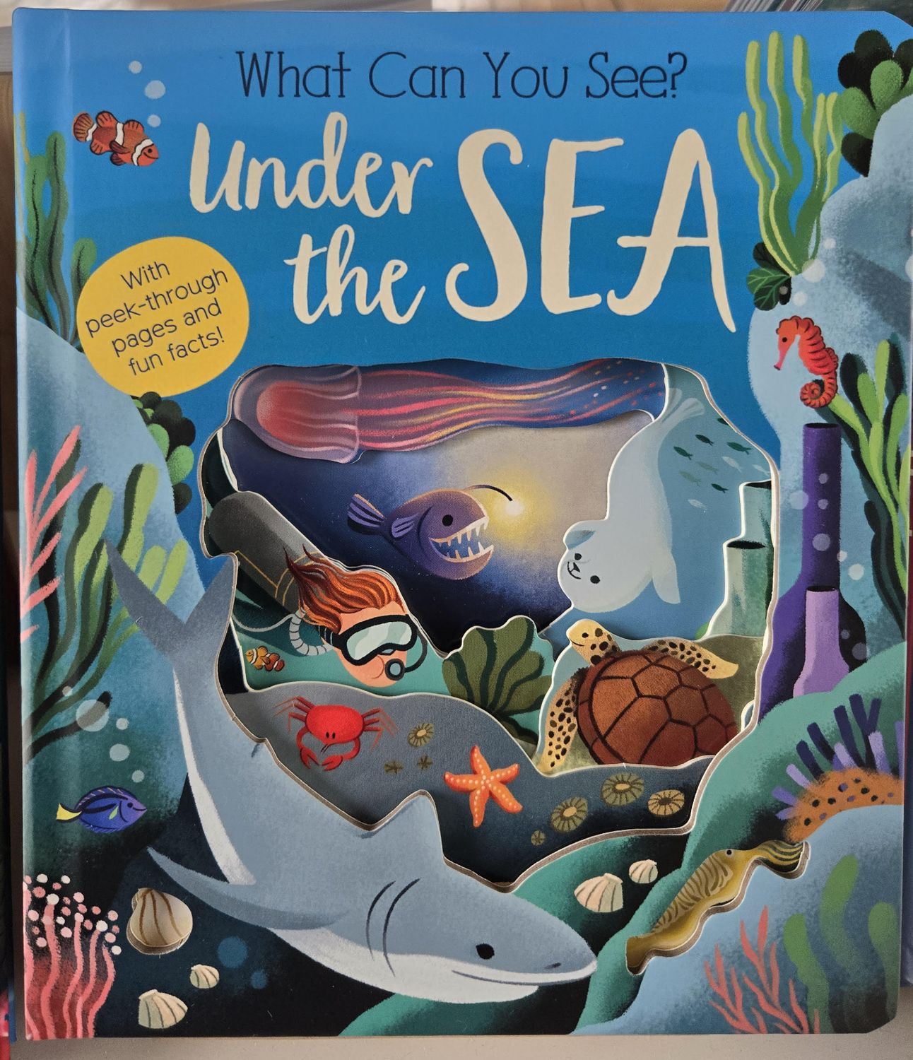 Under Sea What Can I See/9781664351110