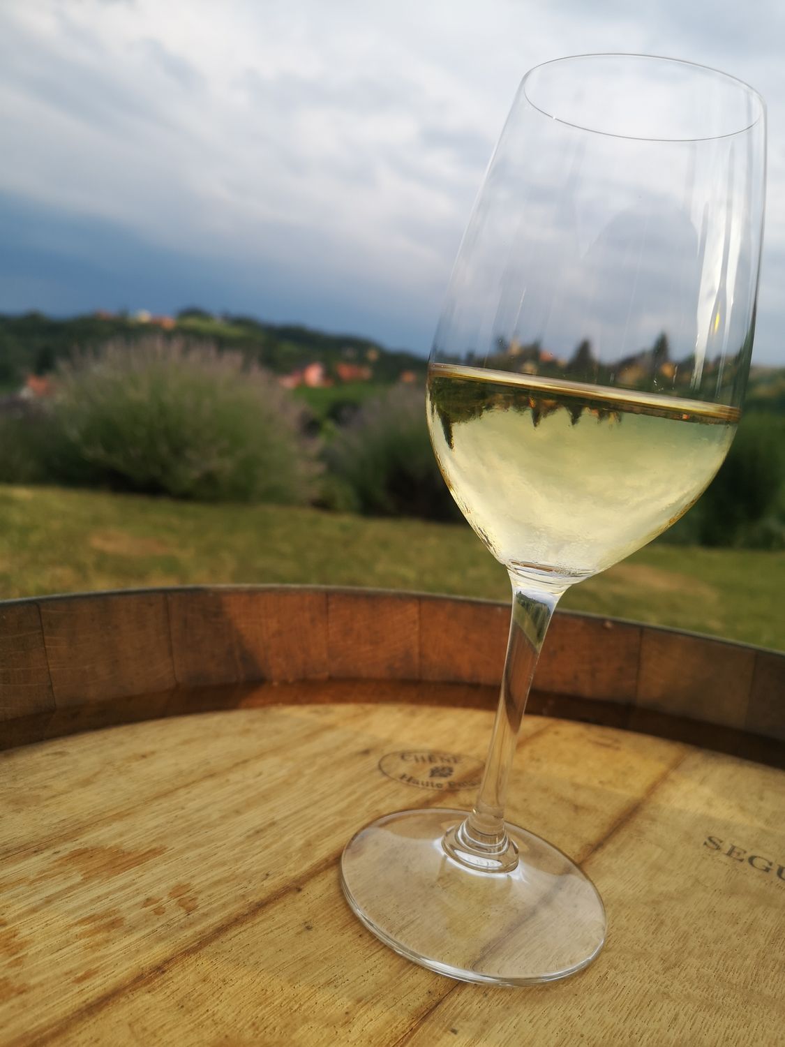 Sauvignon Blanc Kitzeck-Sausal 2022