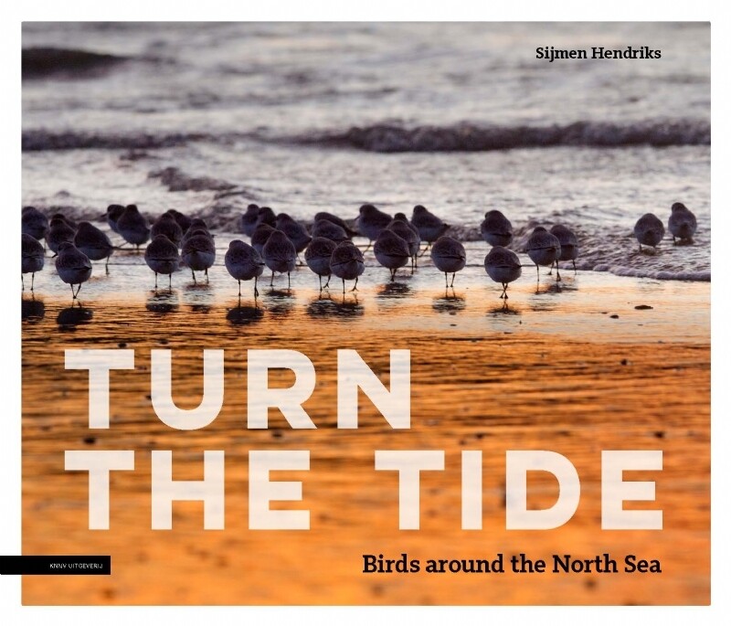Turn the tide - Vogels rond de Noordzee - Sijmen Hendriks