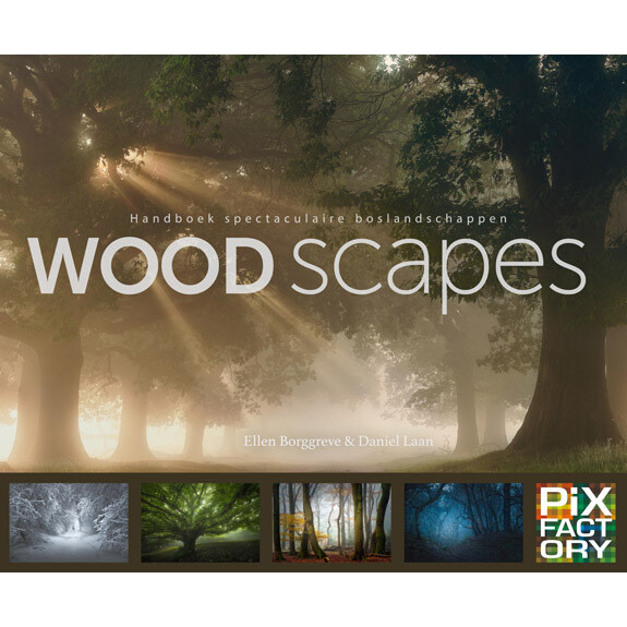 Woodscapes – Handboek spectaculaire boslandschappen