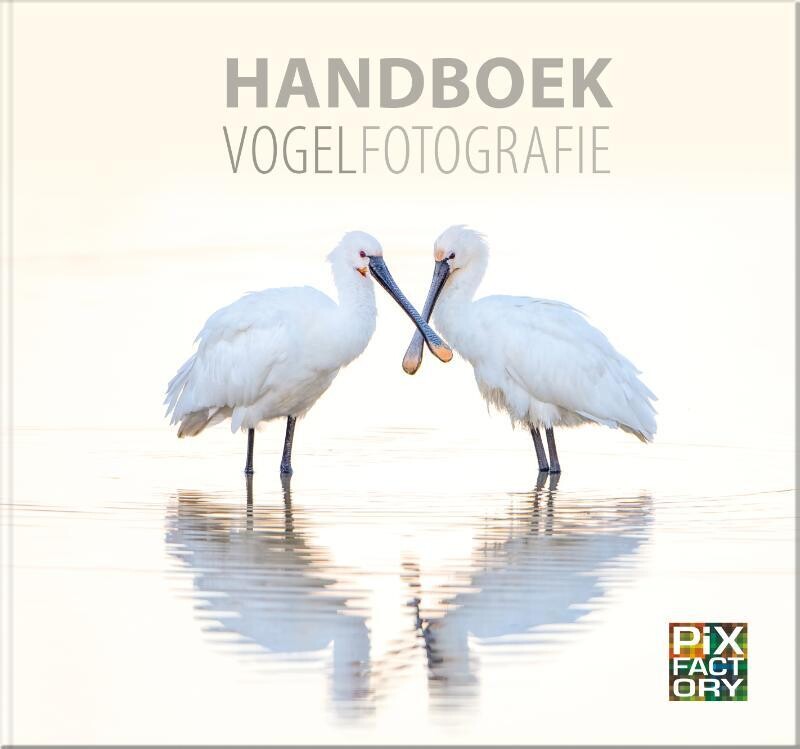 Handboek Vogelfotografie - Daan Schoonhoven