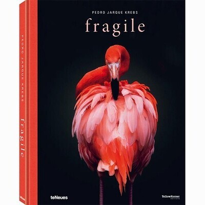 Fragile - Pedro Jarque Krebs