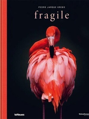 Fragile - Pedro Jarque Krebs