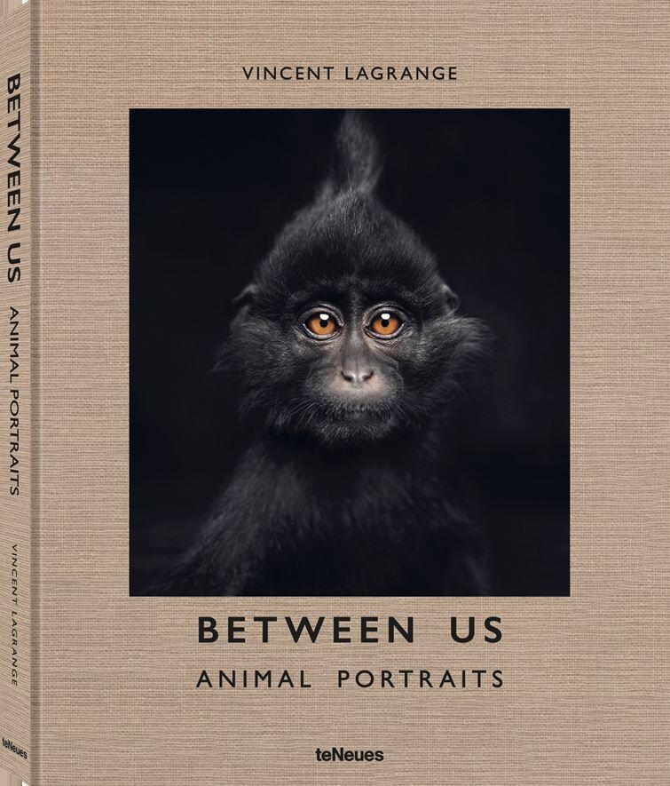 BETWEEN US - Animal Portraits - Vincent Lagrange