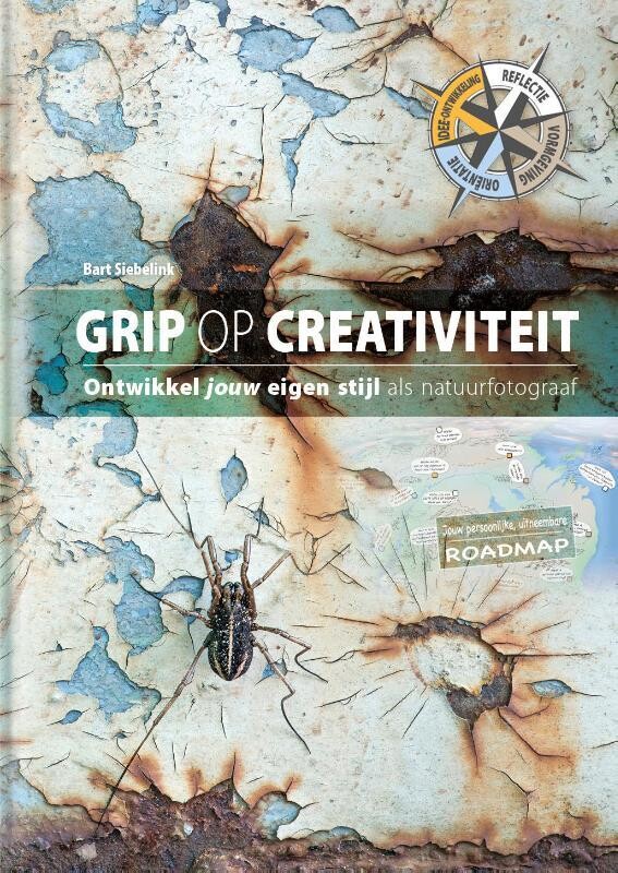 Grip op creativiteit - Bart Siebelink
