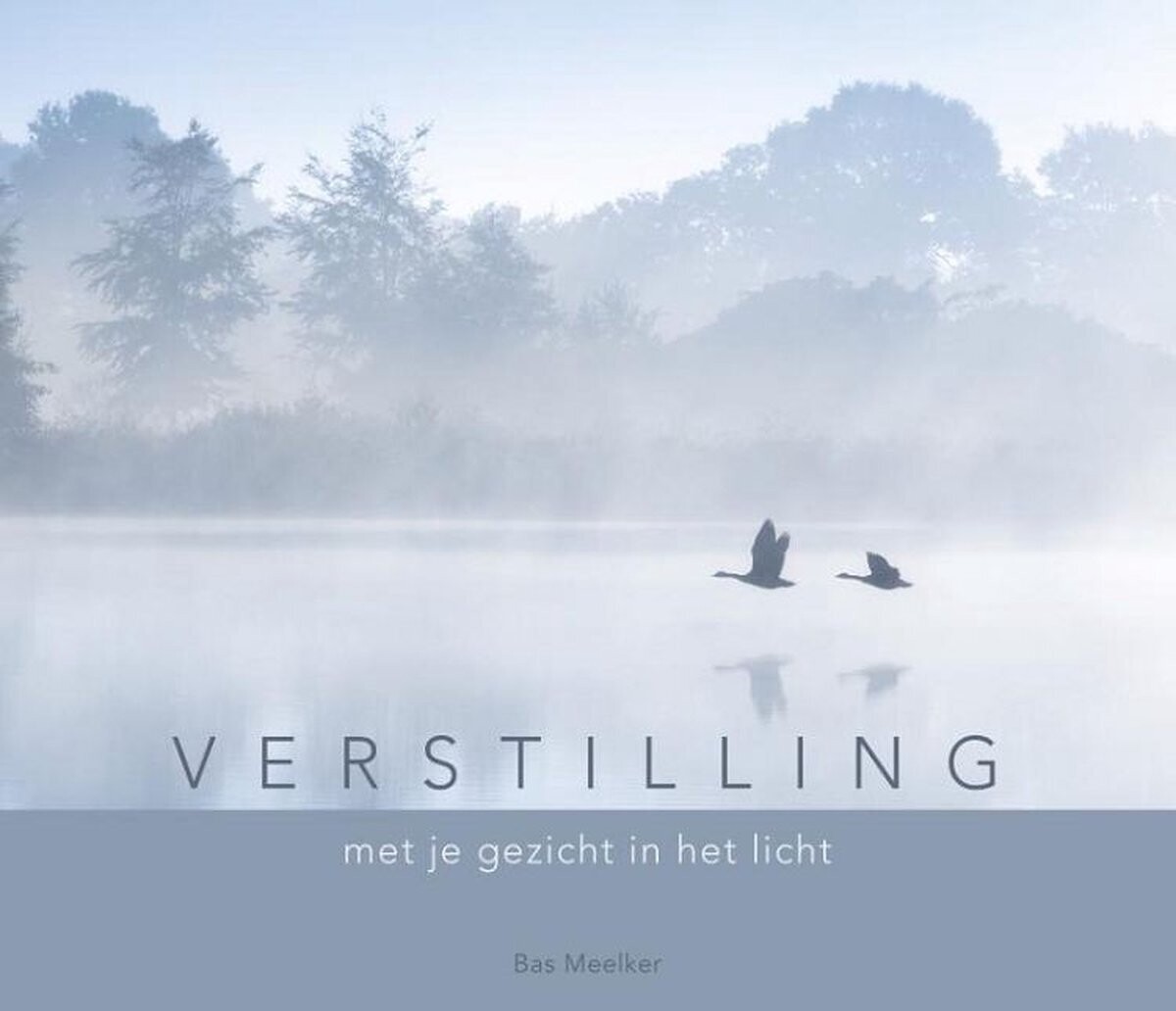 Verstilling - Met je gezicht in het licht - Bas Meelker