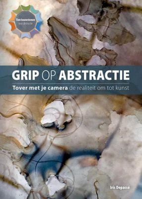 Grip op abstractie - Iris Depassé