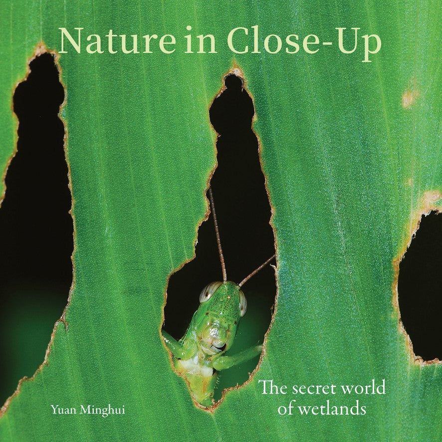 Nature in Close-Up -  Yuan Minghui