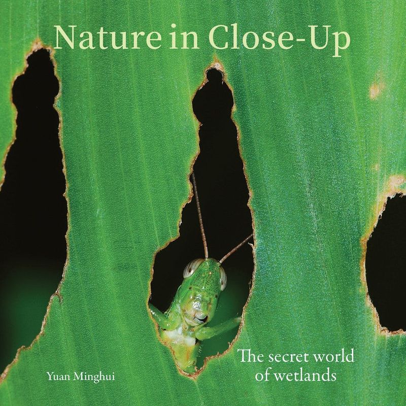 Nature in Close-Up -  Yuan Minghui