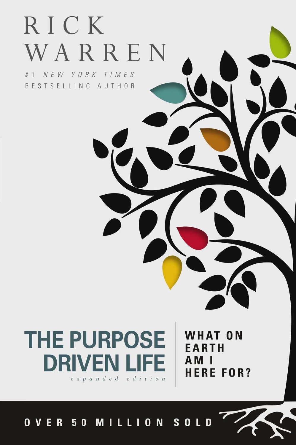 PURPOSE DRIVEN LIFE - RICK WARREN
