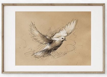 FRAMED SKETCH - DOVE