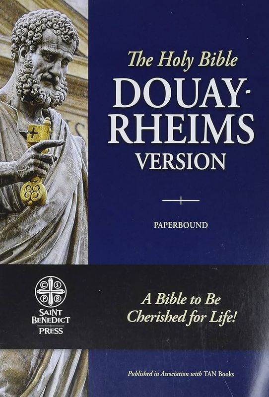 DOUAY RHEIMS BIBLE PAPERBACK