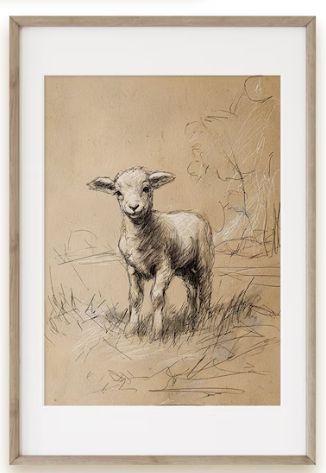 FRAMED  SKETCH - LOST SHEEP