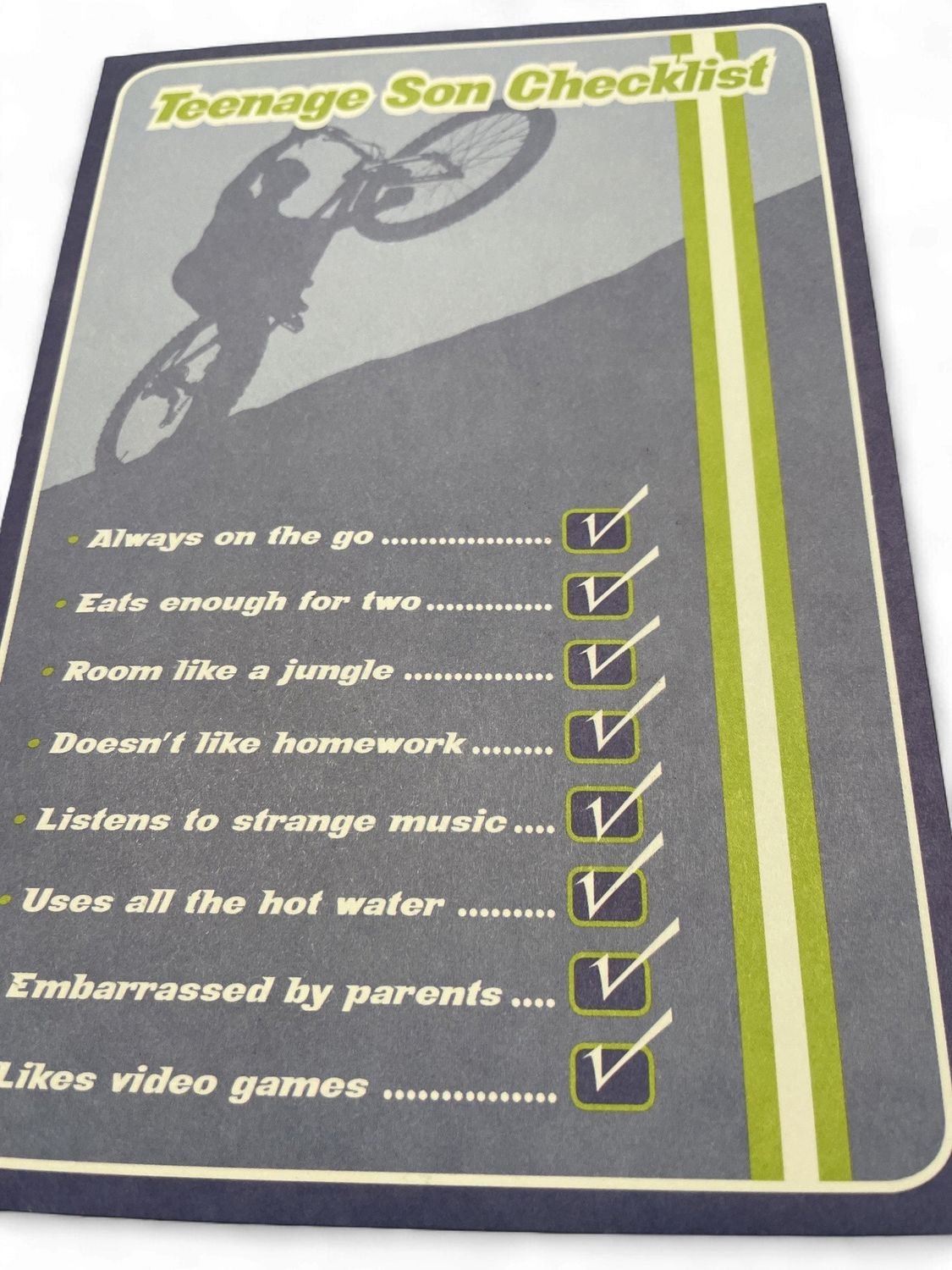 CD - TEENAGE SON CHECKLIST