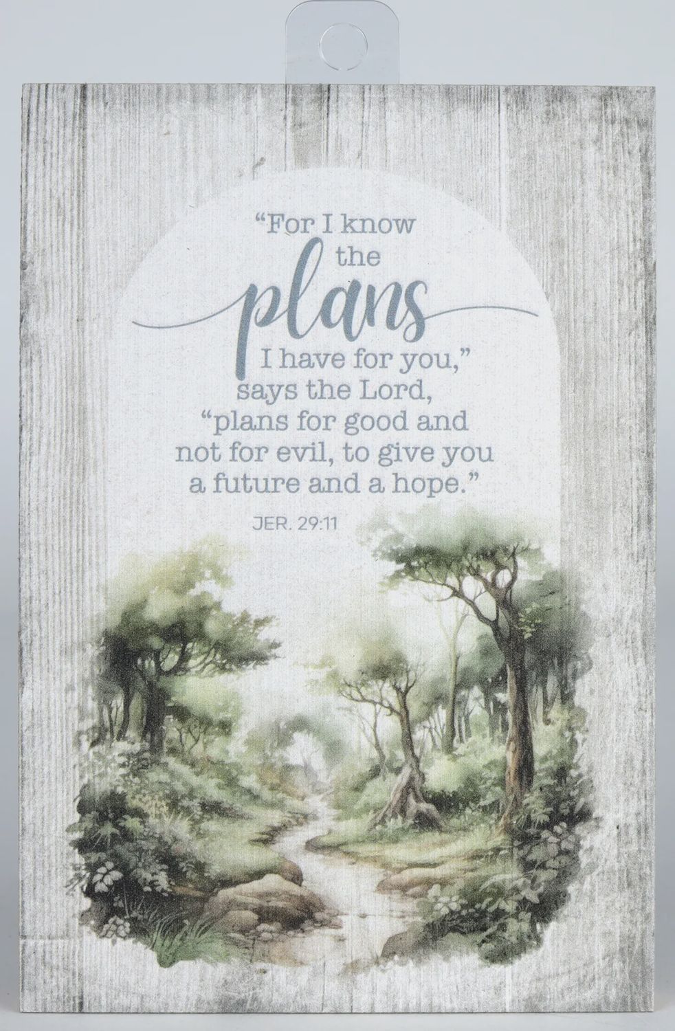 PLAQUE (MDF): FOR I KNOW THE PLANS - MINI BLESSINGS