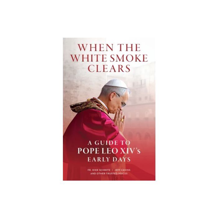 WHEN THE WHITE SMOKE CLEARS: A GUIDE TO POPE LEO XIV'S EARLY DAYS