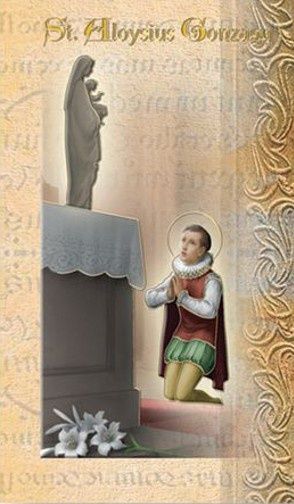 BIOGRAPHY OF ST ALOYSIUS