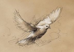 UNFRAMED SKETCH - DOVE