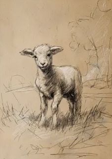 UNFRAMED SKETCH - LOST SHEEP