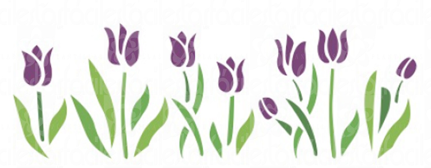 Tulipanes-004