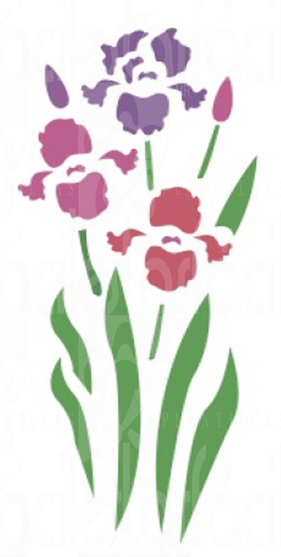 Iris-115