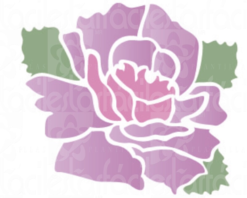 BLOOM -007
              -041