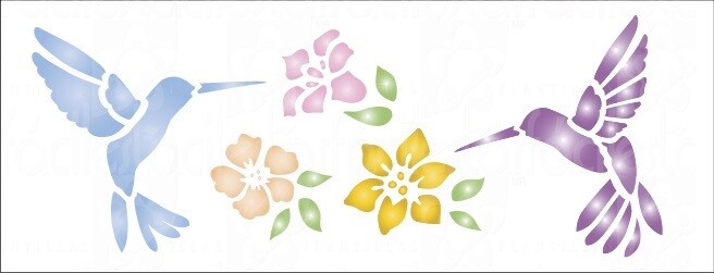 Colibri flores​-263