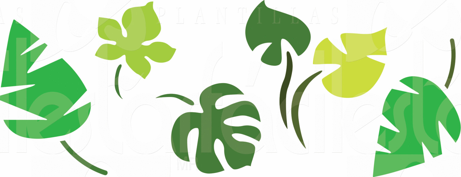 Tropical-212