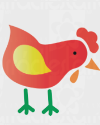 Gallina  168-19