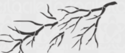 Ramificación  38PV-42