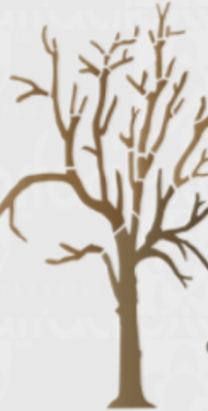 Arbol 38PV-023