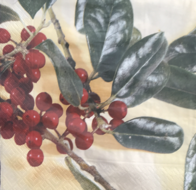 servilleta frutos rojos