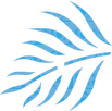 Palmera  PLVCH-05