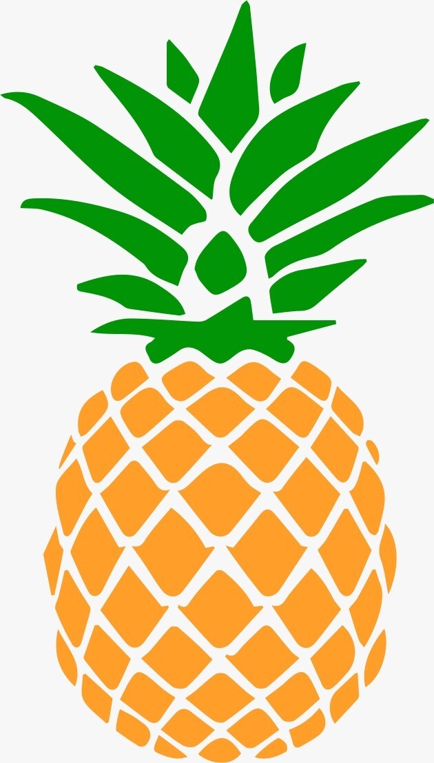 PIÑA 38PV-69