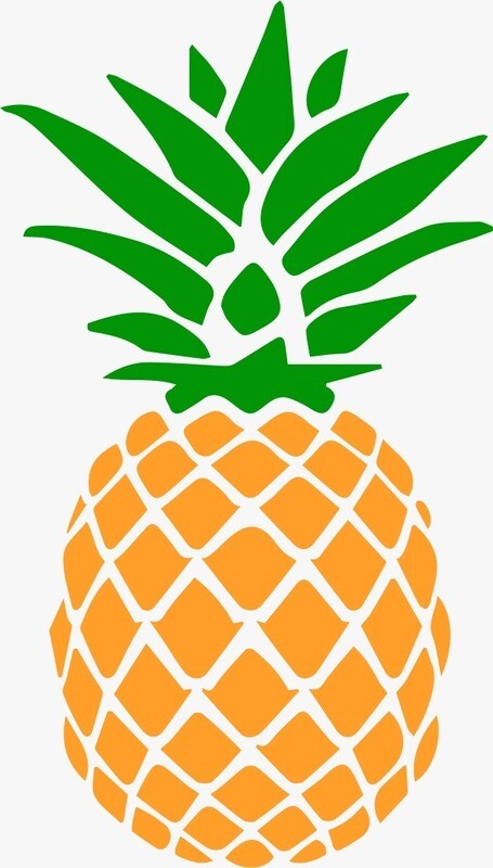 PIÑA 38PV-69