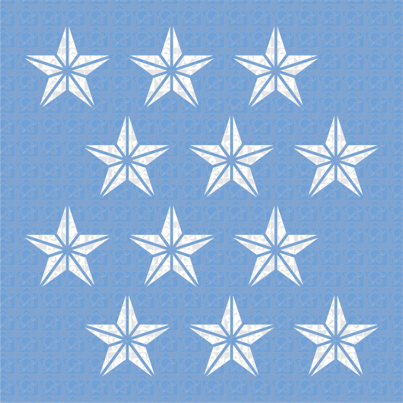 Estrella brújula 135