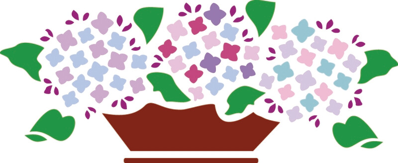 HORTENSIA-126