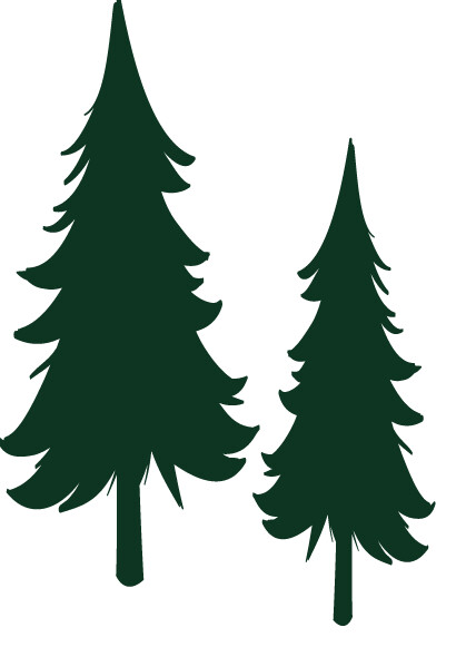 Pino Bosque 168V-139