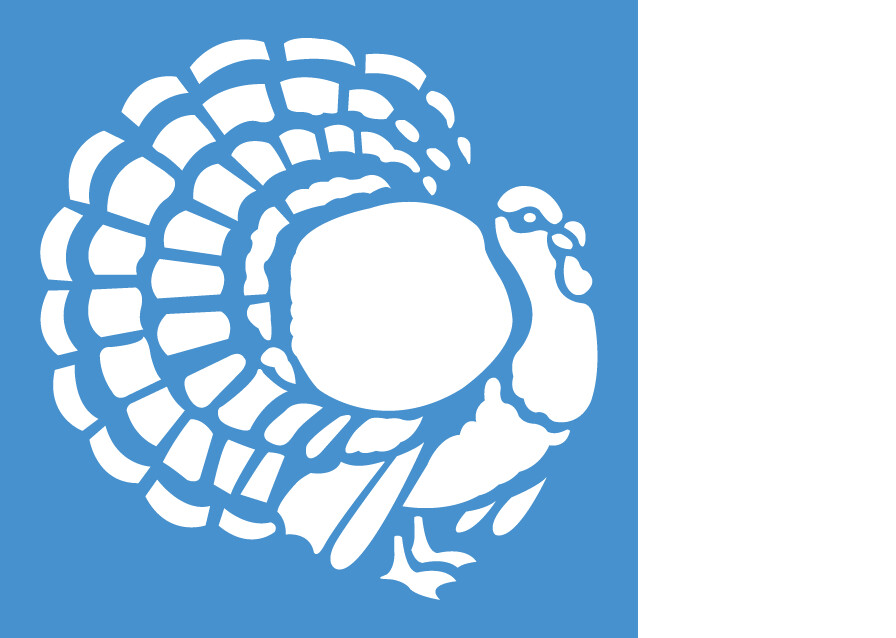 PAVO  168v-153