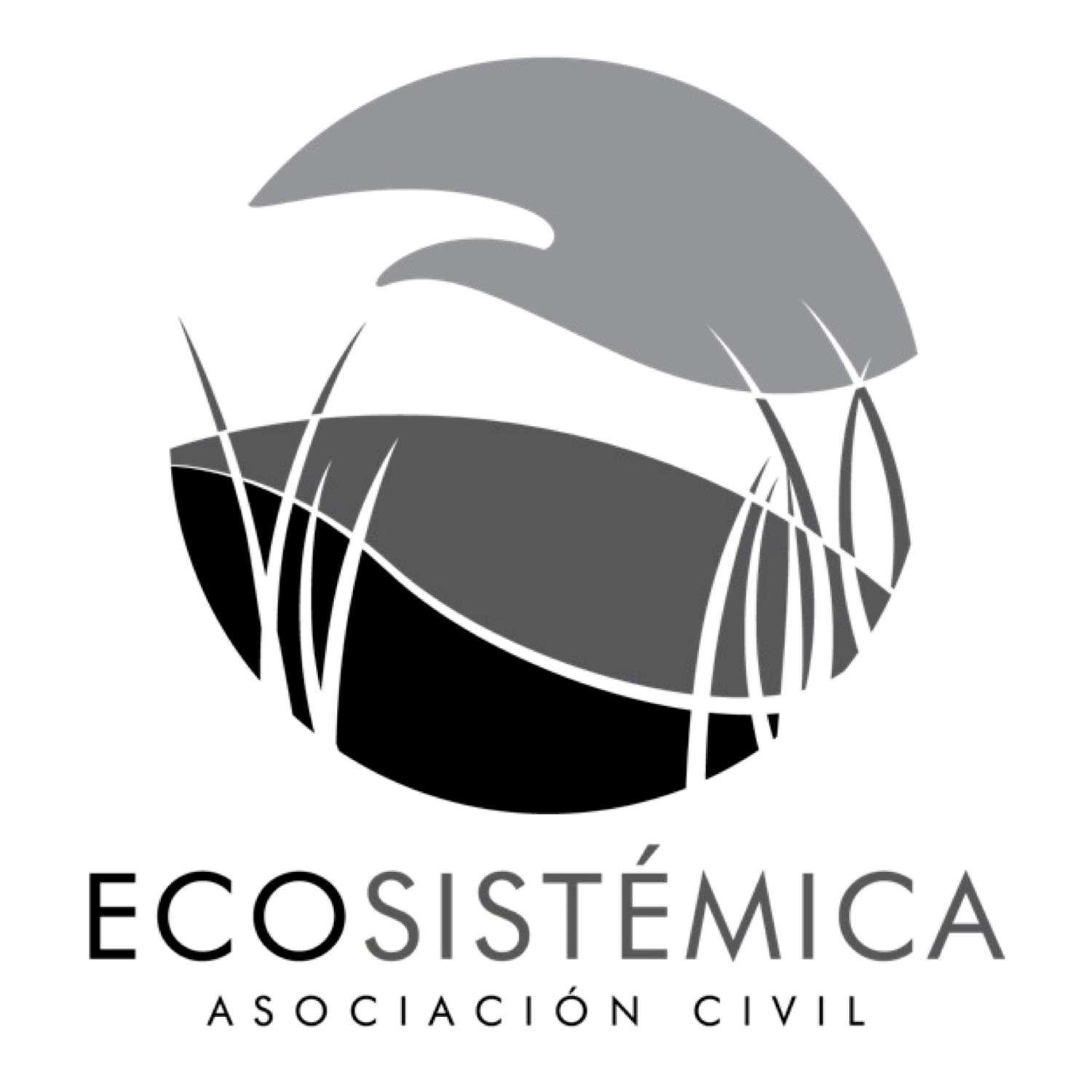 ECOSISTEMICA