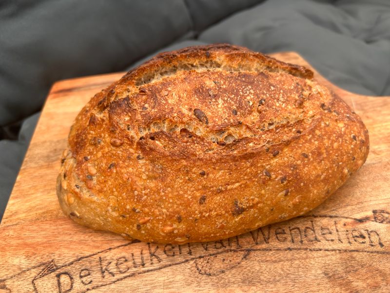 Desem tarwe met zaden