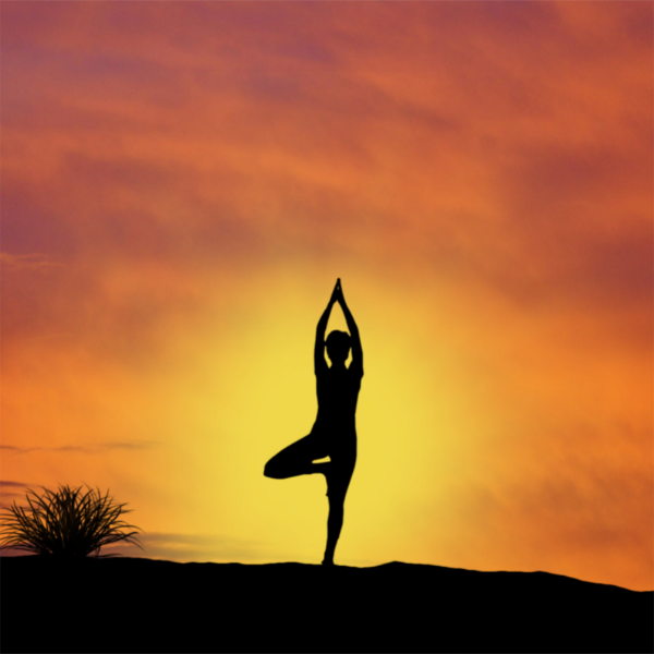 Zugang zu allen ONLINE Yogakursen - UNBEGRENZT 1. bis 30. Juni 2022!