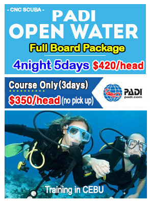 PADI OPENWATER PACKAGE