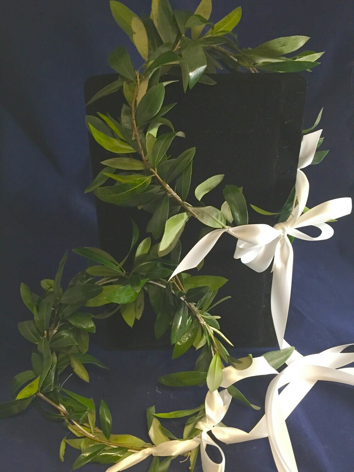 Stefana - Pure Organic Olive Branch made to order