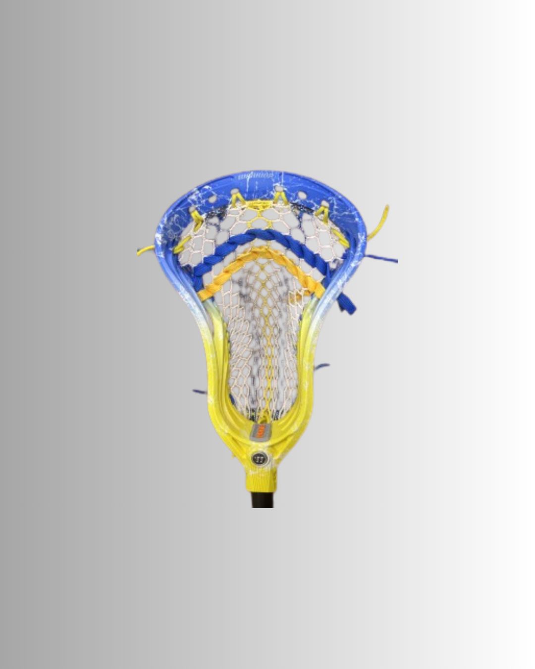 Warrior XP-D Custom dyed blue/yellow strung head