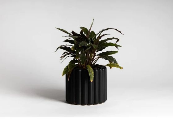 NED Alto Vase - Black